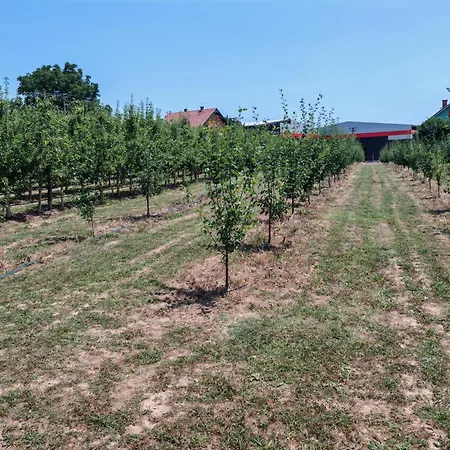 Villa Kucerak U Sremu