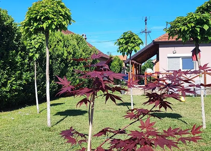 Vilă Kucerak U Sremu