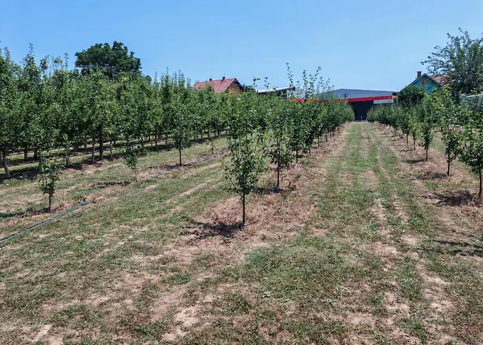 Vilă Kucerak U Sremu